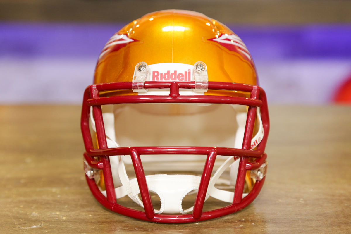 NFL Florida State Seminole Riddell Speed Mini Football Helmet Flash  Alternate - Sinbad Sports Store