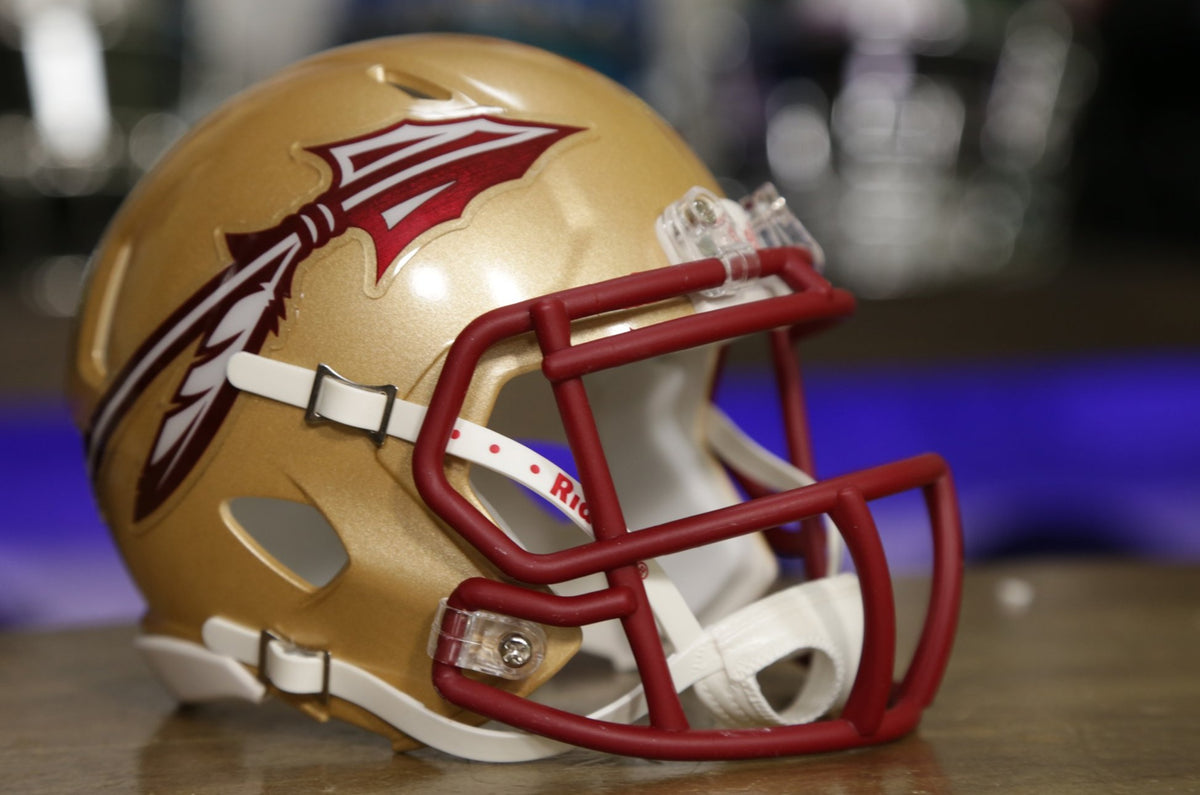 Riddell Florida State Seminoles Speed Mini Helmet