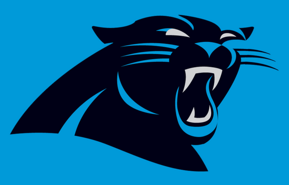 NFL - Carolina Panthers