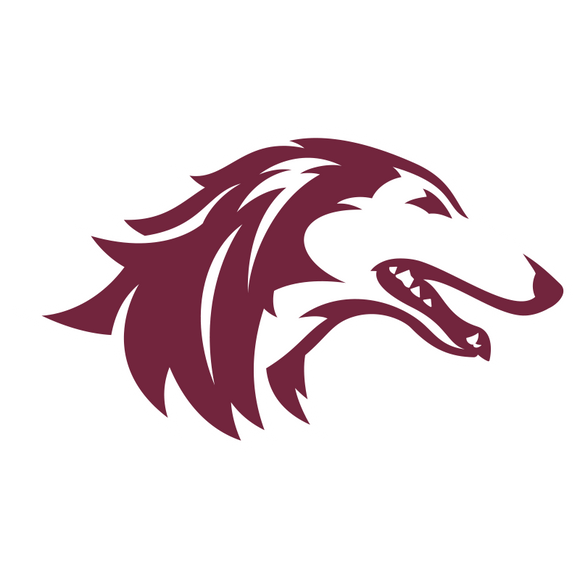 NCAA - Southern Illinois Salukis