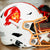 Tampa Bay Buccaneers Riddell SpeedFlex Helmet - 1976-1996 Throwback